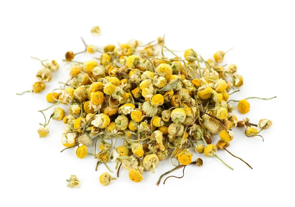 Dried Chamomile Buds - Image 3