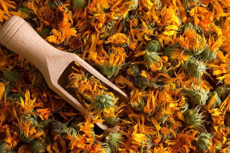 Dried Calendula Petals - Image 2