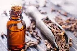 Clove Buds Essential Oil