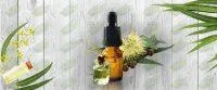 Eucalyptus Essential Oil
