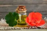 Geranium Liquid Extract