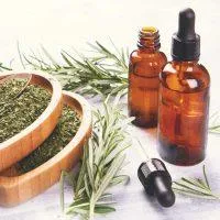 Rosemary Essential Oil