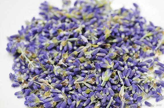 Dried Lavender Buds - Image 3