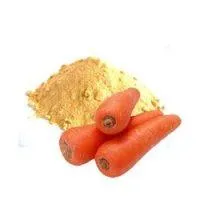 Carrot Powder