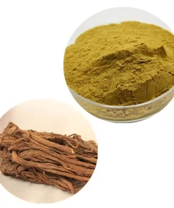 Dong Quai Extract Powder