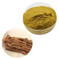 Dong Quai Extract Powder