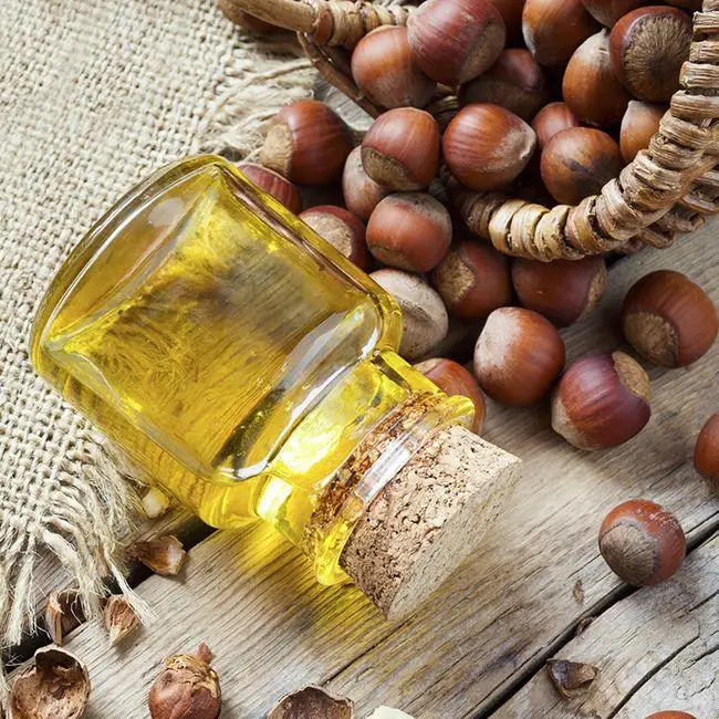 Hazelnut Carrier Oil - Image 2