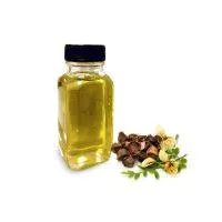 Moringa Seed Carrier Oil