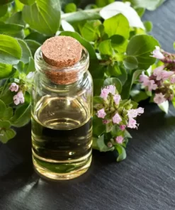Oregano Essential Oil