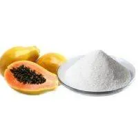 Papain Enzyme Powder