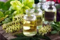 Sage Essential Oil