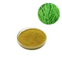 Horsetail Extract Powder