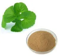 Gotu kola Powder