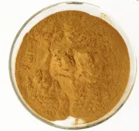 Hops Extract Powder