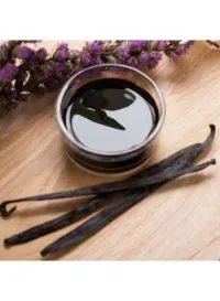 Vanilla Fragrance Oil