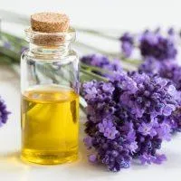 Lavender Fragrance Oil