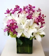 Lilly Liquid Fragrance Oil
