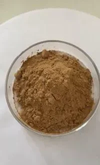 Bear-berry Leaf Extract Powder