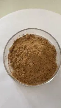 Bear-berry Leaf Extract Powder