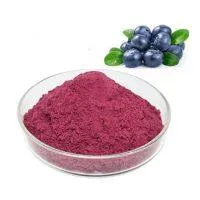Blue-berry Fruit Extract Powder