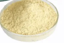 Cucumber Extract Powder