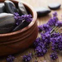 Black Amber and Lavender Fragrance