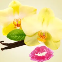 French vanilla fragrance