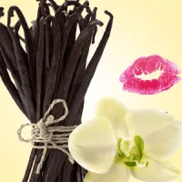 Flavoring Vanilla Bean Fragrance Oil