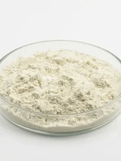 Aloe Vera Extract Powder-200X