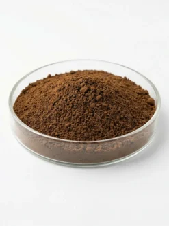 Chaga Mushroom Extract Powder