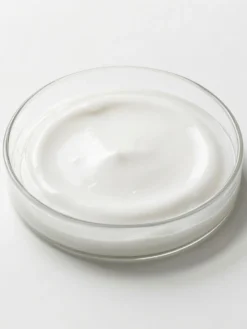 Ceramide Complex (SK-Influx)