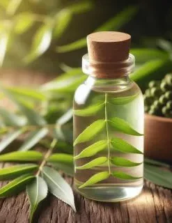 Neem Hydrosol