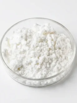 Saw Palmetto Extract Powder