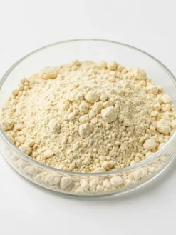 Snail Extract Powder