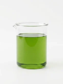 Avocado Carrier Oil (Light-Green)