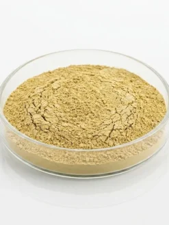Bentonite Clay