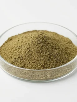 Organic Brahmi Powder
