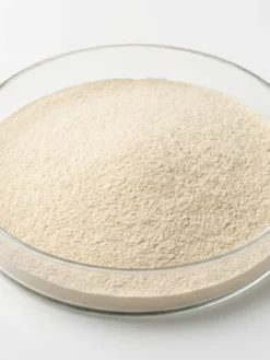 Bromelain Enzyme Powder