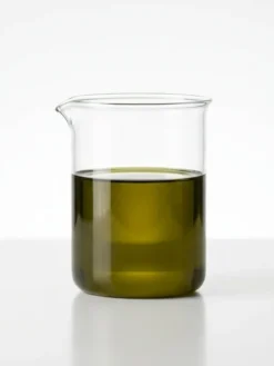 Organic Camellia Seed Oil