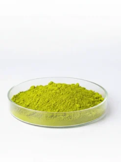 Green Tea Extract Powder