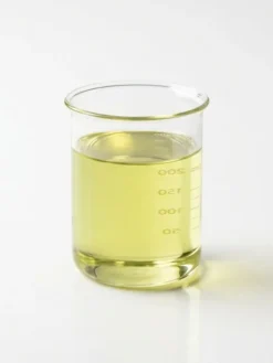 Hazelnut Carrier Oil