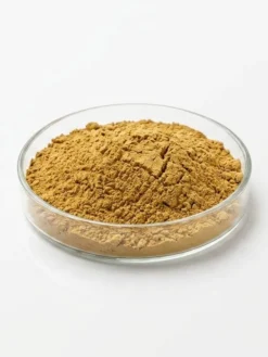 Gold Mica Powder