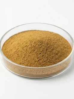 Cactus powder
