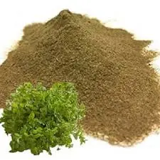 Chickweed Powder - Image 2