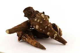 Monkshood Root - Image 3