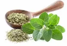 Marjoram - Image 3