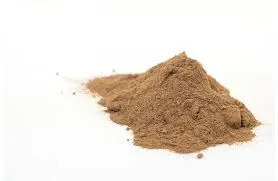 Echinacea Extract Powder - Image 2