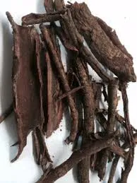 Bay Berry Root- N - Image 2