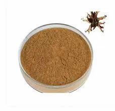 Devil's Claw Extract Powder - Image 2