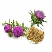Milk Thistle Extract Smooth Powder - Image 2